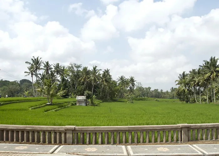 Hotel Artini Bisma